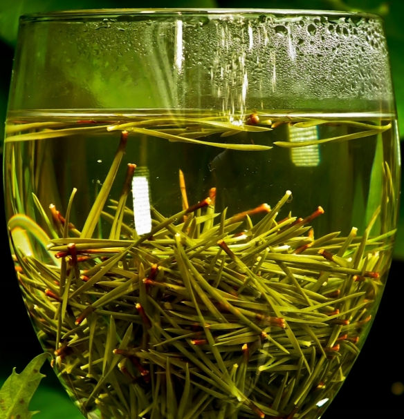 1424793205123[2].jpg