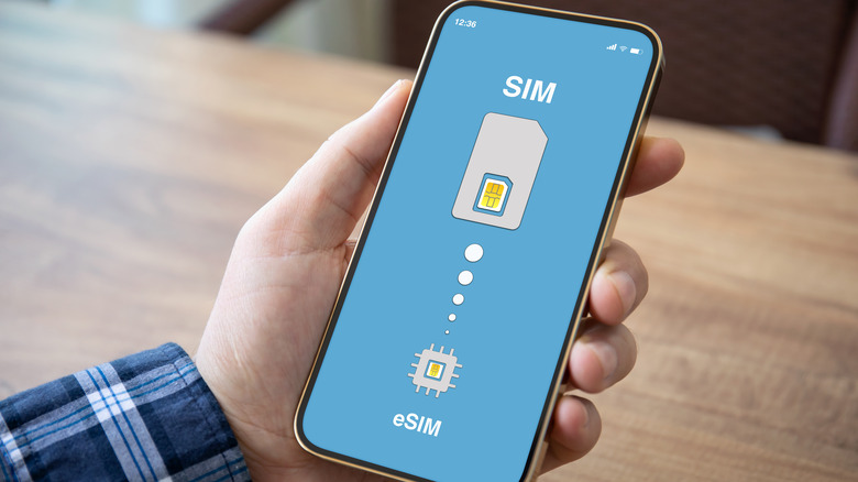 esim2.png