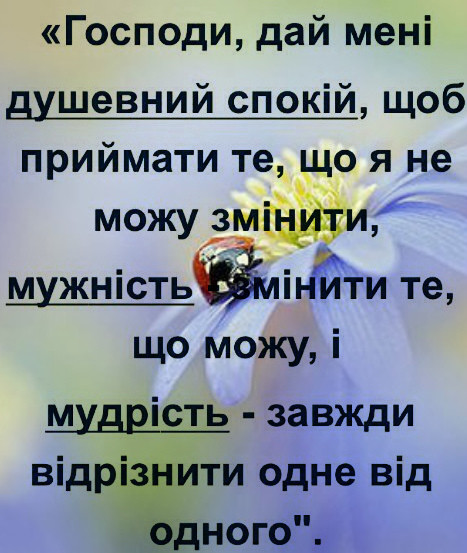 imageIJLFCC5G.jpg