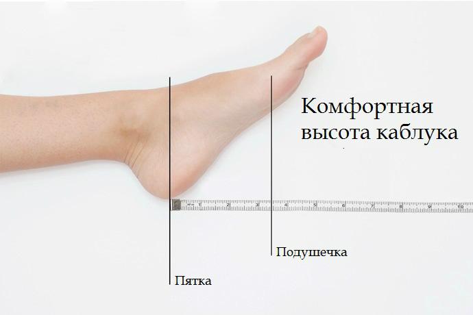 komfortnaia dlia zdorovia vysota kabluka.jpeg