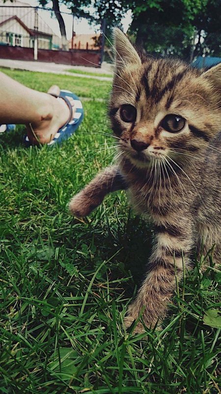 received_1646111732067931.jpeg