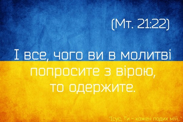 vzk44VAenBg.jpg