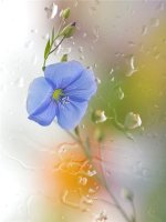 b1ff38123ef5.jpg