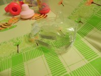 DSCN9871.JPG