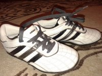 20141023_102129.jpg