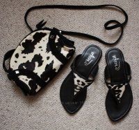animal look.jpg