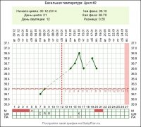 index (1).jpg
