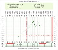 index (2).jpg