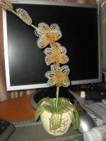 Изображение 067.jpg