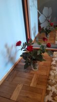 IMG_20150411_184244.jpg