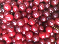 D59445F1-8D76-481B-A21D-D48C24D79BB1.jpeg