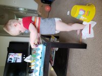 20180609_175037.jpg