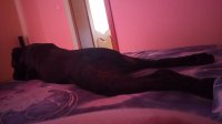 IMG-3bf92916faede38dd8186828ebdd71b9-V.jpg
