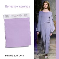 Лепесток крокус а.jpg