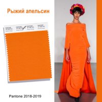 Рыжий апельси н.jpg