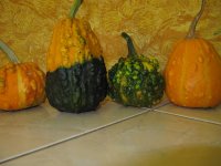 IMG_8999.JPG