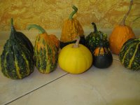 IMG_9004.JPG