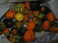 IMG_9009.JPG