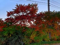 20181012_191426.jpg