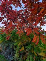 20181012_191409.jpg