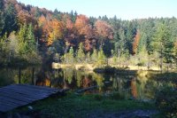 DSC_3920.JPG