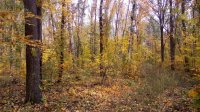 DSC_0025.JPG