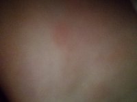 IMG_20181025_151045.jpg