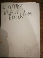 IMG_20181226_124710.jpg