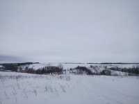 DSC_0262.JPG