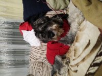 20181123_182023.jpg