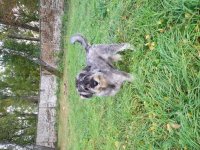20181004_090926.jpg