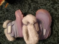 IMG_20190123_132721.jpg