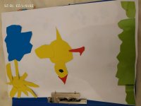 IMG_20190123_182554.jpg