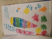 IMG_20190123_182611.jpg