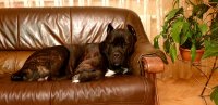 20181208_233554.jpg