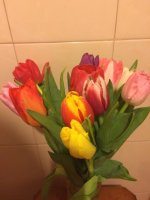 IMG_0351.jpg