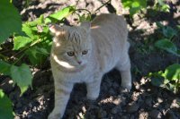 DSC_1286.JPG