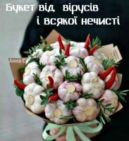 image8VBKKK9L.jpg
