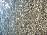 20180821_091618.jpg