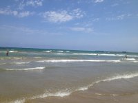 IMG_3141.JPG