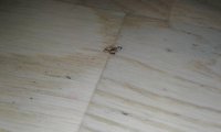 20190304_185627.jpg