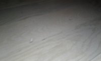 20190304_185700.jpg