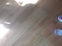 15517795774921953124475343651452.jpg