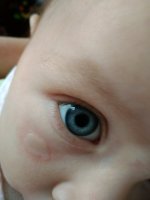 IMG_20190330_095500.jpg