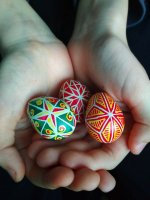 IMG_20190413_193059.jpg