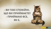 kit_yoga-1[1].jpg