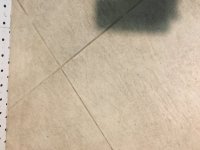 E759D43F-EDAB-4650-BCBD-9976FCBBBC8B.jpeg