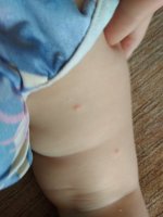 IMG_20190612_083252.jpg