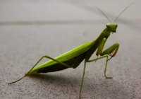 IMG_20190618_230452.jpg