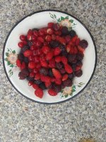 IMG_20190622_144842.jpg
